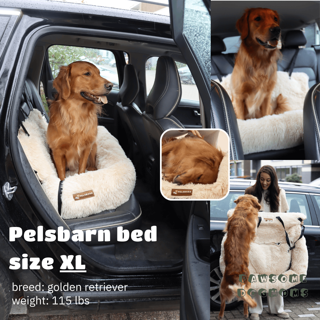 Calming Car bed