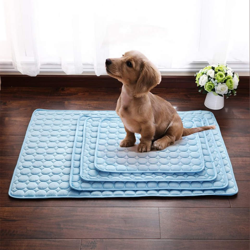 Pawsome Cooling Mat 4x more effective Dogs